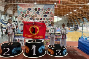 Кубок детско-юношеской Федерации каратэ городского округа Щёлково